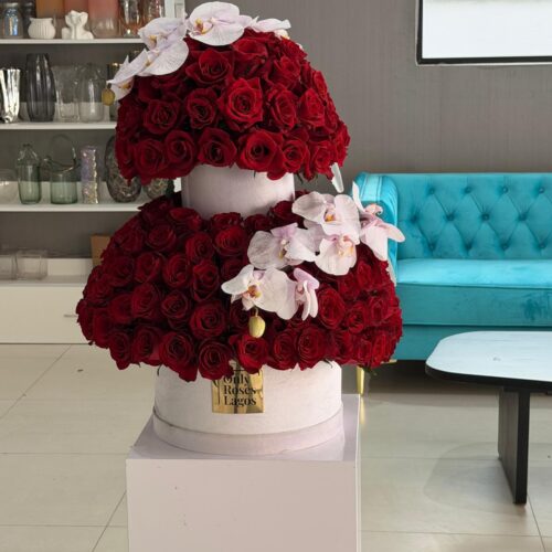 PHOTO-2026-02-03-20-00-00 2